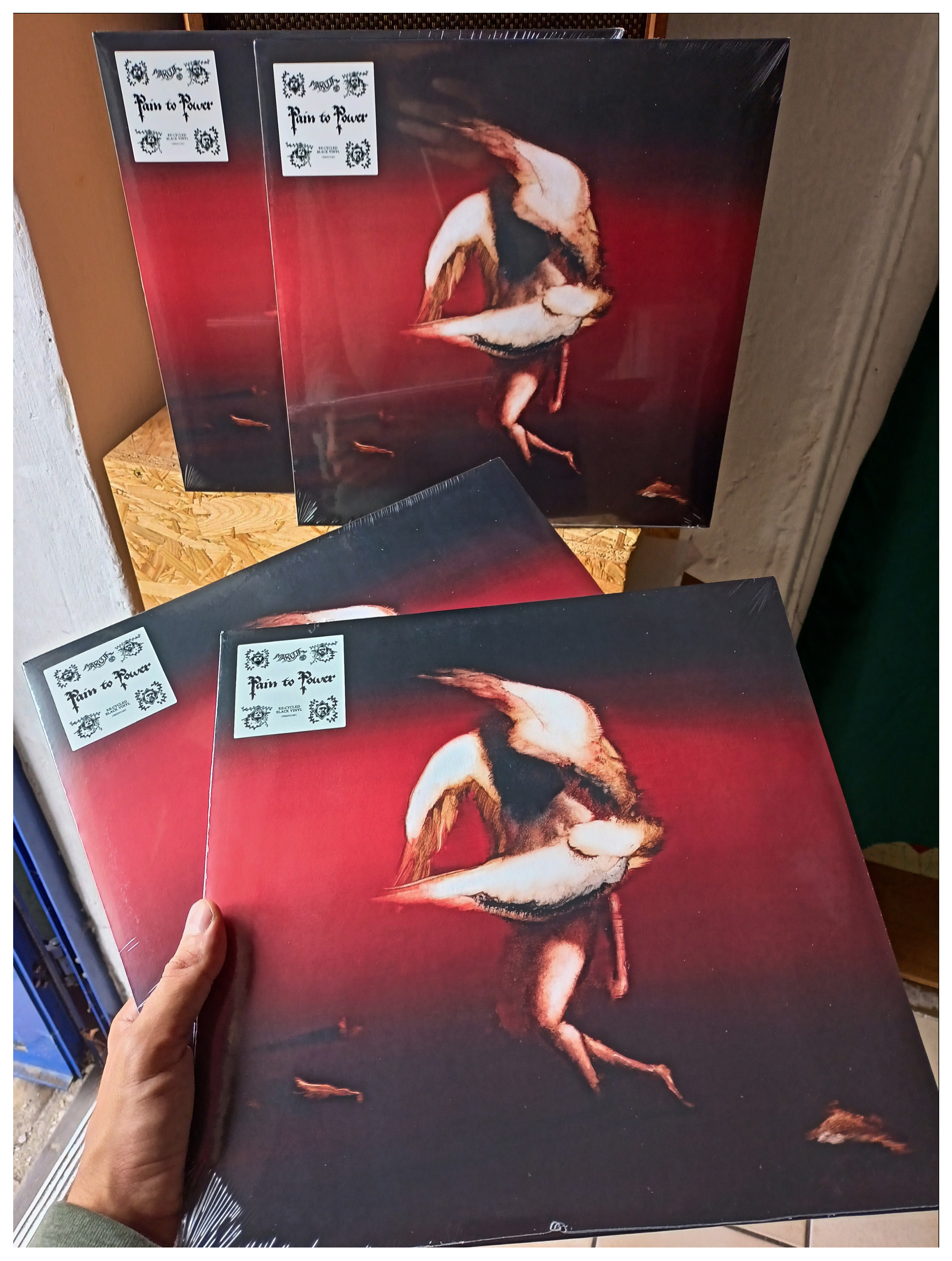 Muzyczna dawka nadzieji dla płonącego Świata